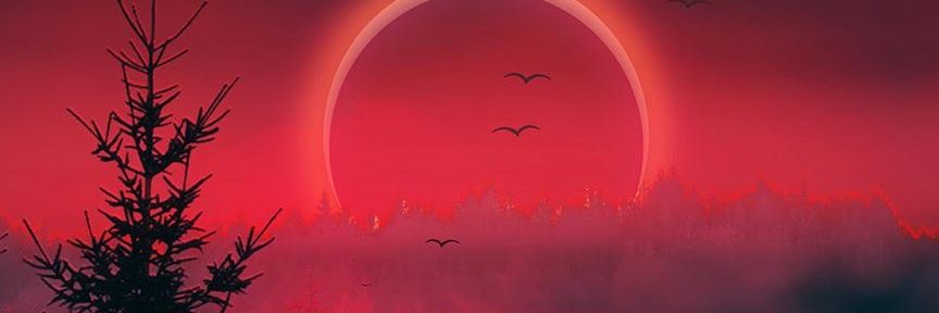 NathanielEstrad's profile banner image