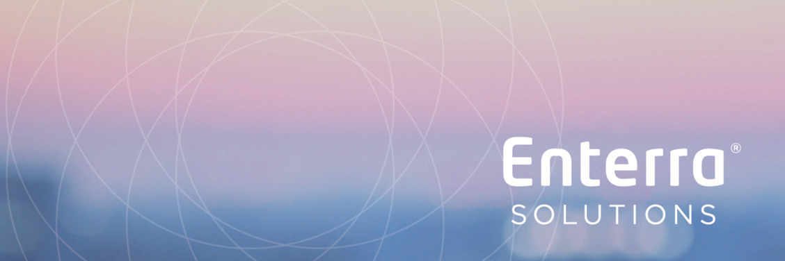 Enterra Solutions banner