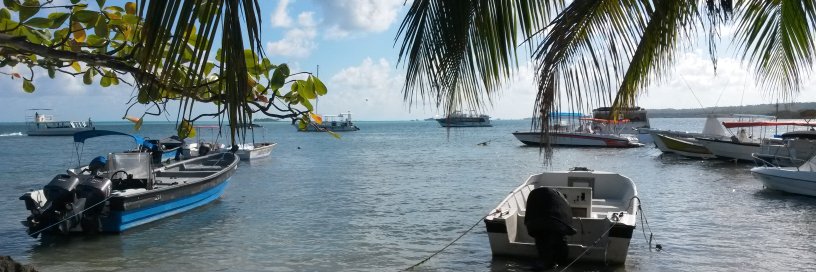 Manuel Chaverra banner