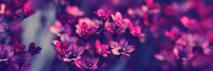 abbyrubiom's profile banner image