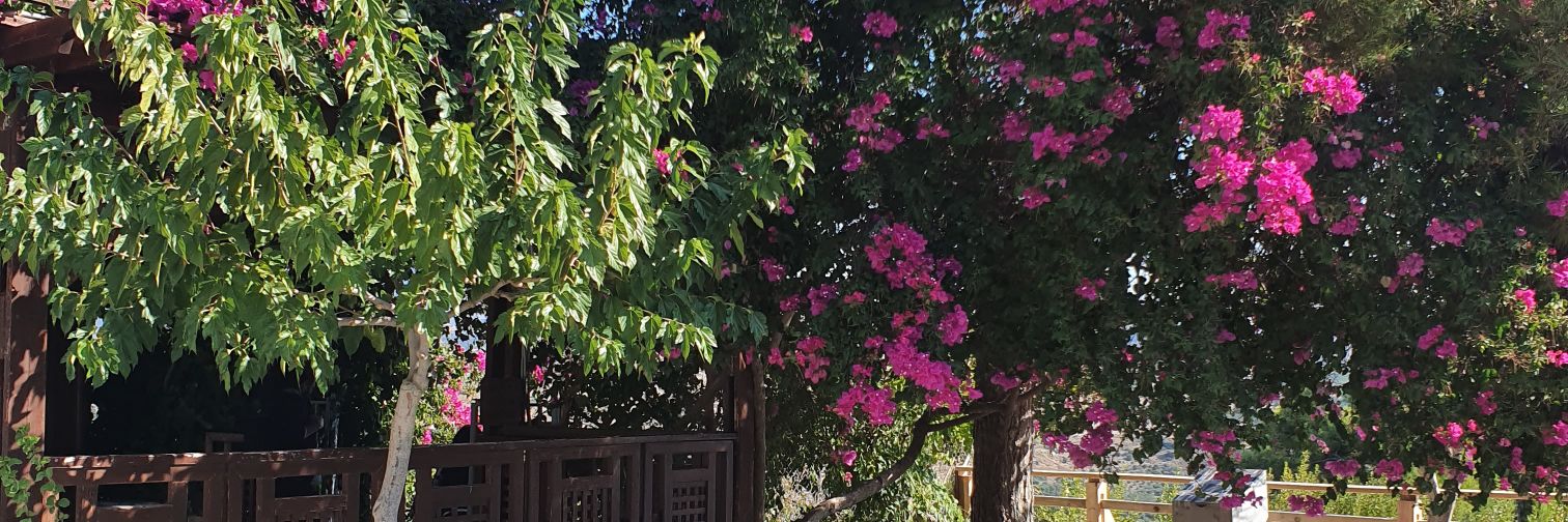 GemWilk's profile banner image