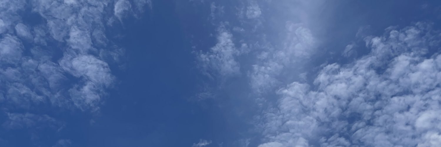 Mi Tien banner
