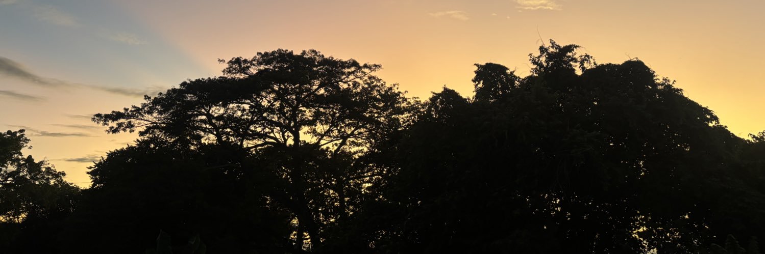 Nobilisplaga's profile banner image