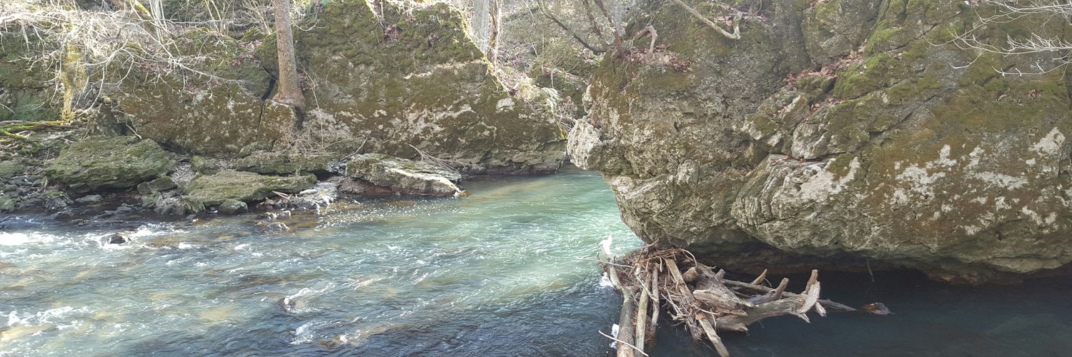 sweetonionleaf's profile banner image