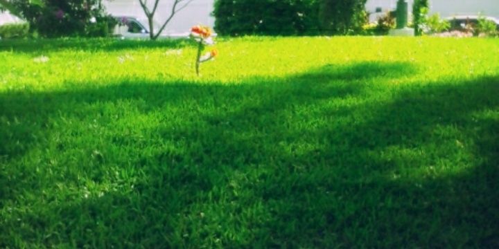 2020_german23's profile banner image
