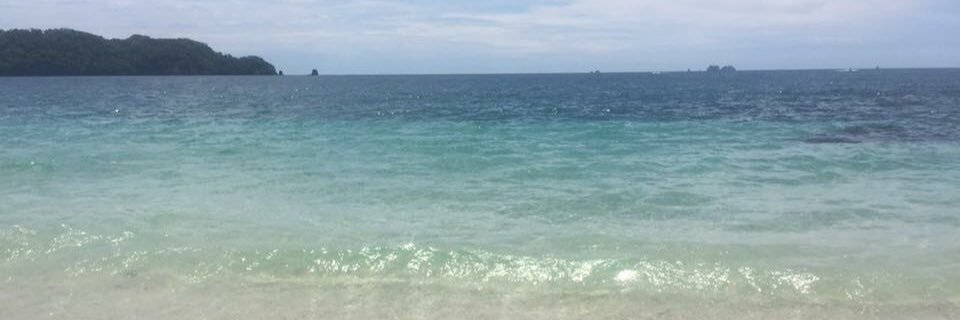 SLizTucker95's profile banner image