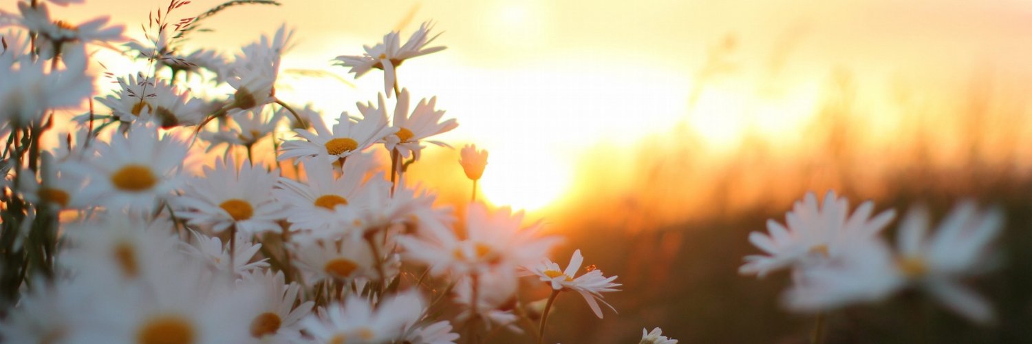 zunursriyani's profile banner image