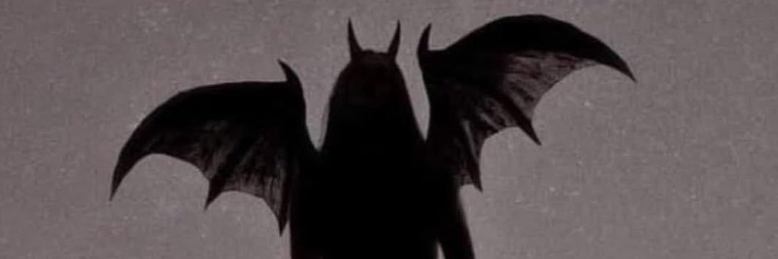 haileyafaulkner's profile banner image