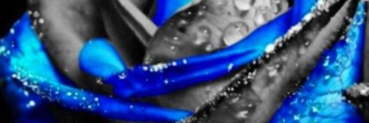 kierra_cain's profile banner image