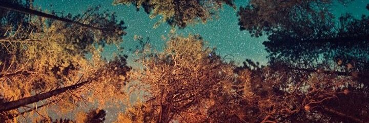 Caittmichelle's profile banner image