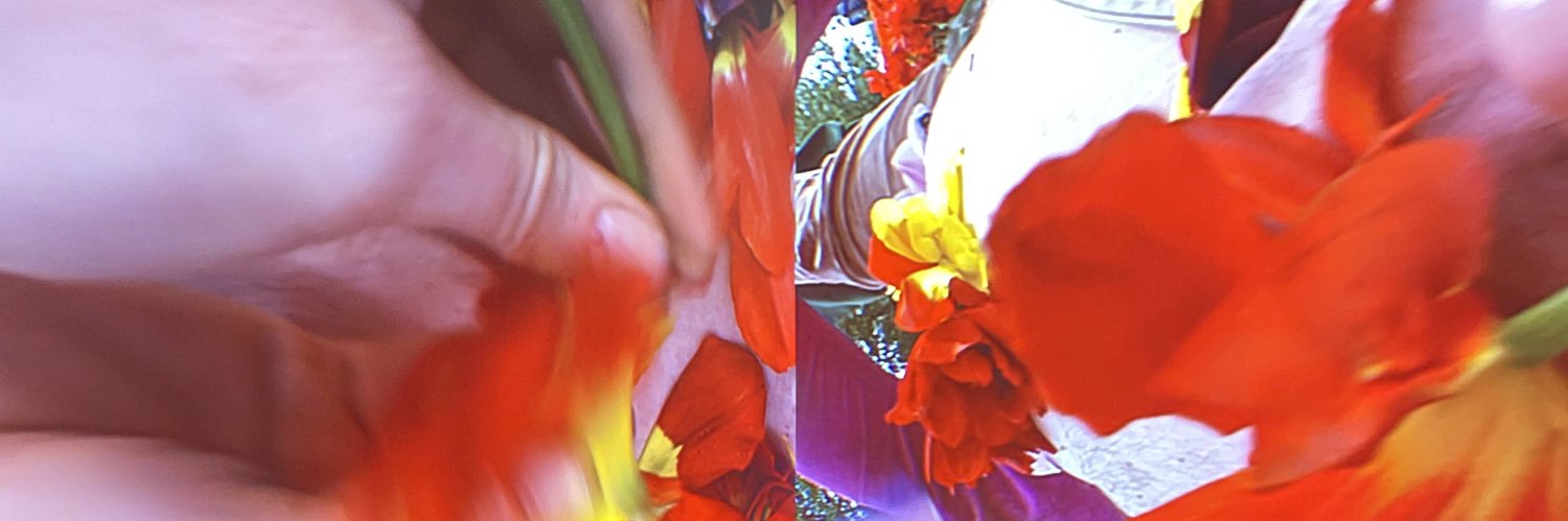 wallflowher's profile banner image