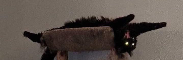 LilTwanks's profile banner image