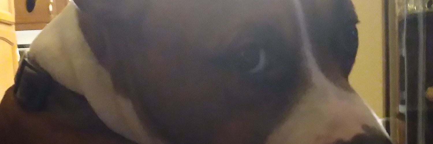 Sweet_SarahKate's profile banner image