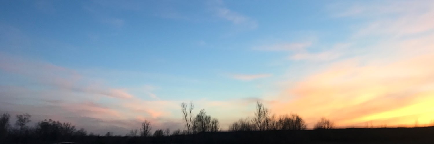 NKondyles's profile banner image