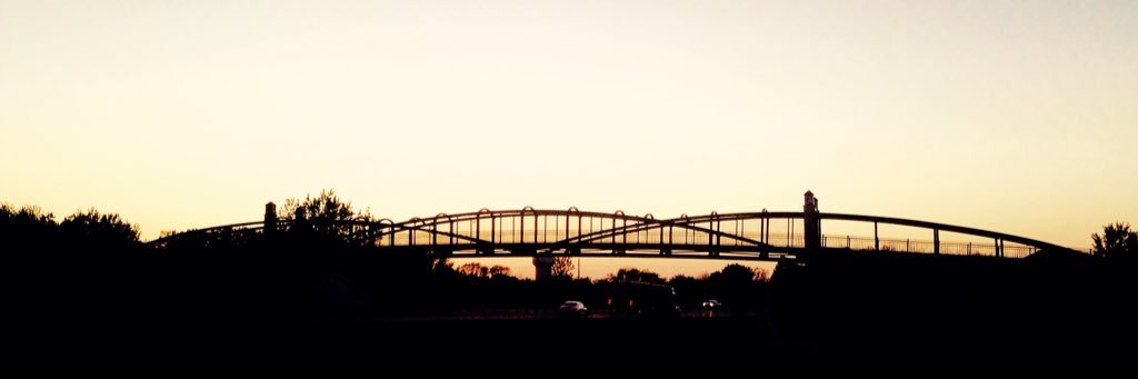 cheetaglow's profile banner image