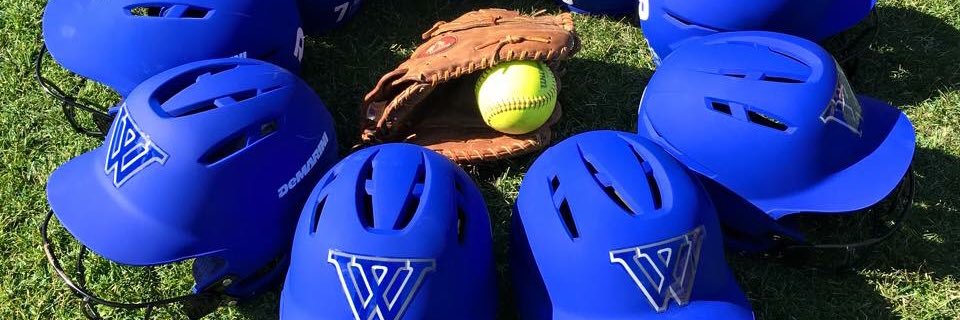 Wellesley Softball banner