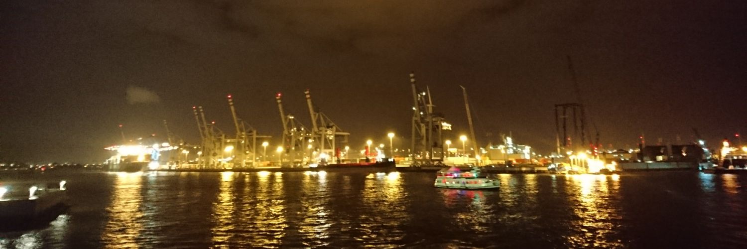 AnnDorphin's profile banner image