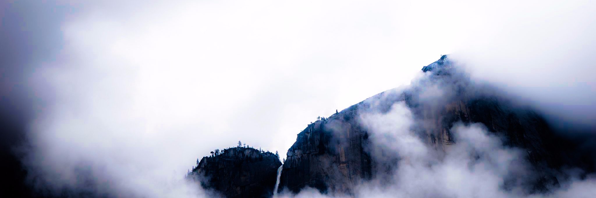 SentientTweets's profile banner image
