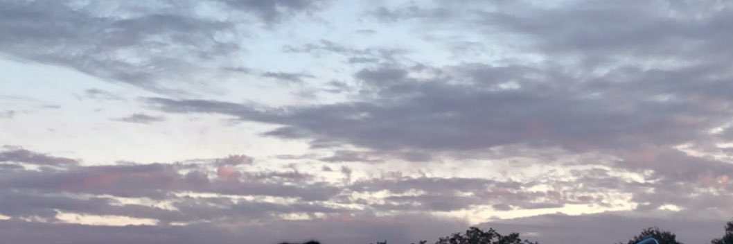 Chasnicker's profile banner image