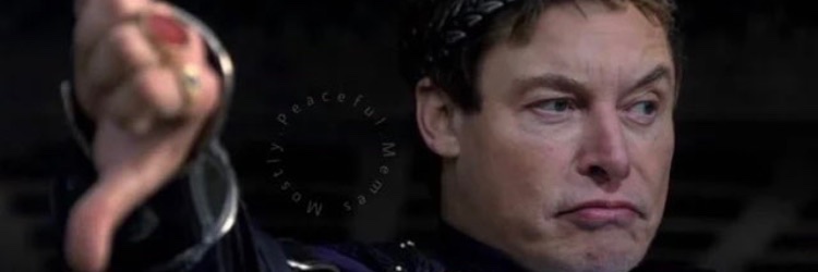 BachelorBFlive's profile banner image