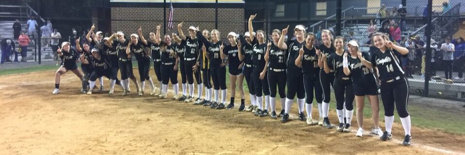 kellam_softball's profile banner image