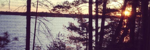 ShirleyBell8 Profile Banner