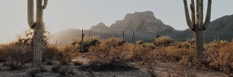 CelyseH's profile banner image
