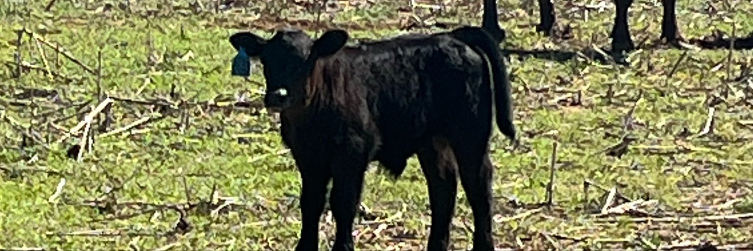 harderjm's profile banner image