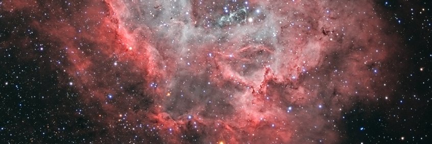 bobbie_falin's profile banner image