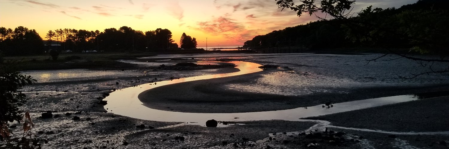 spfitzgibbons's profile banner image