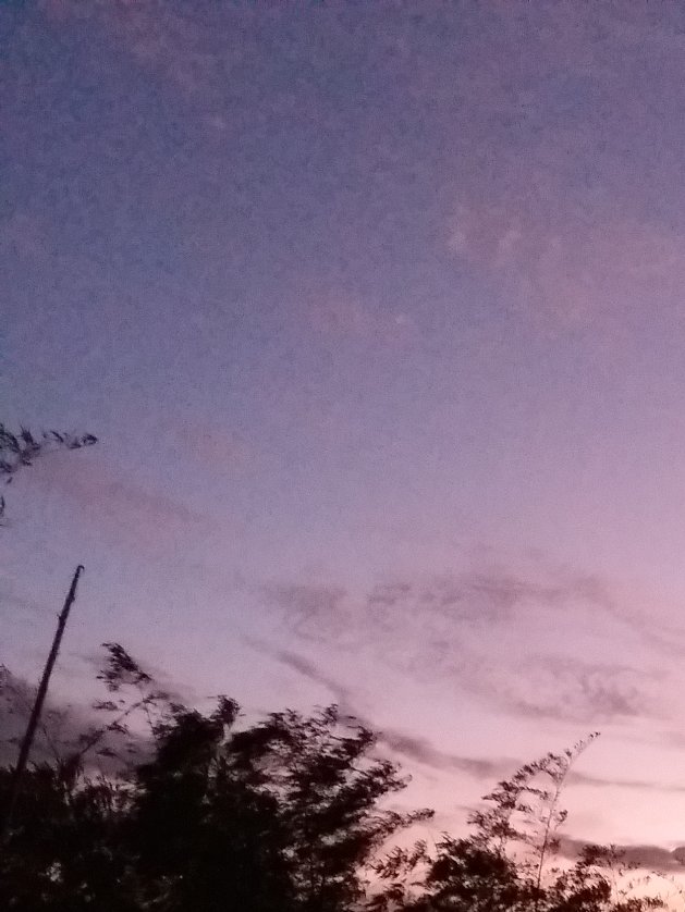 jsmrcortes's profile banner image