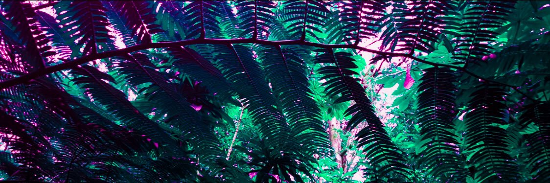 Yes I am 6'4”, stop asking banner