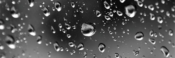 Dissident_US's profile banner image