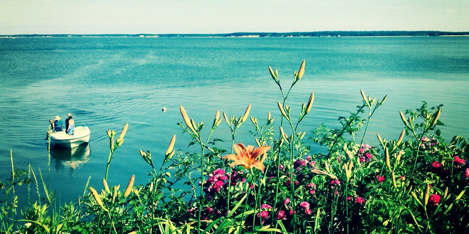 allison50zent's profile banner image