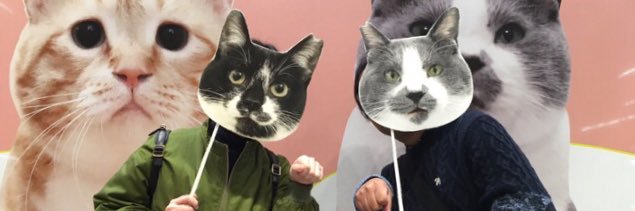 takae310jp's profile banner image