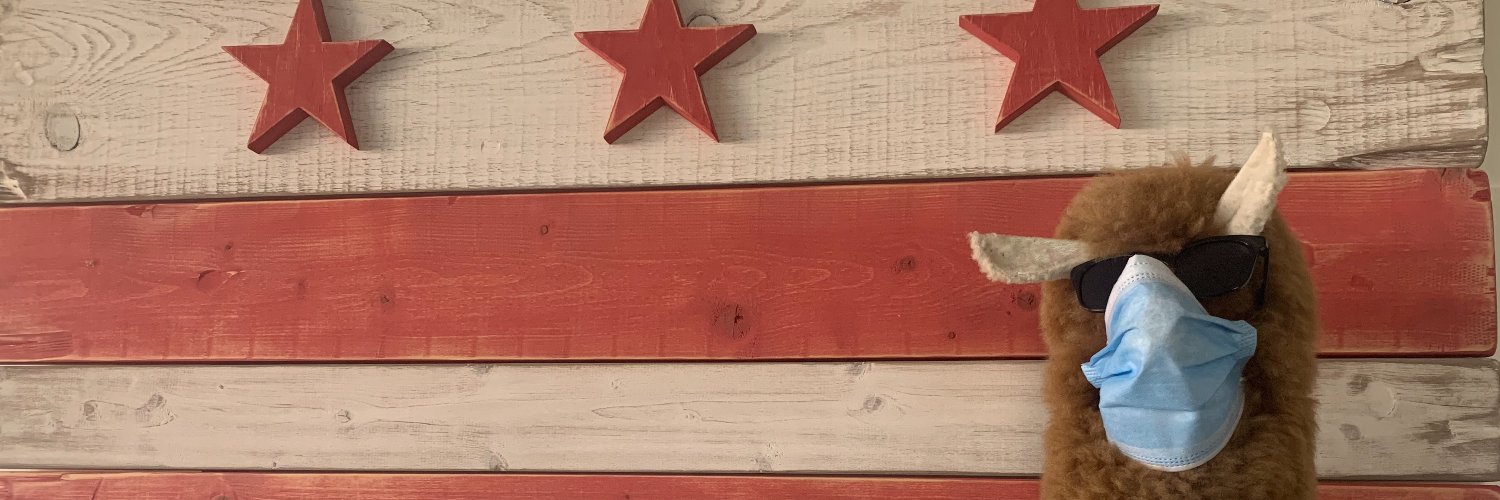 AlexKateStevens's profile banner image