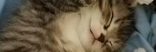 notbee_us's profile banner image
