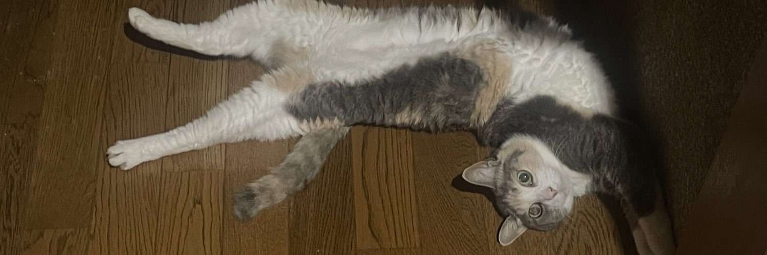 たぶんねこきち banner