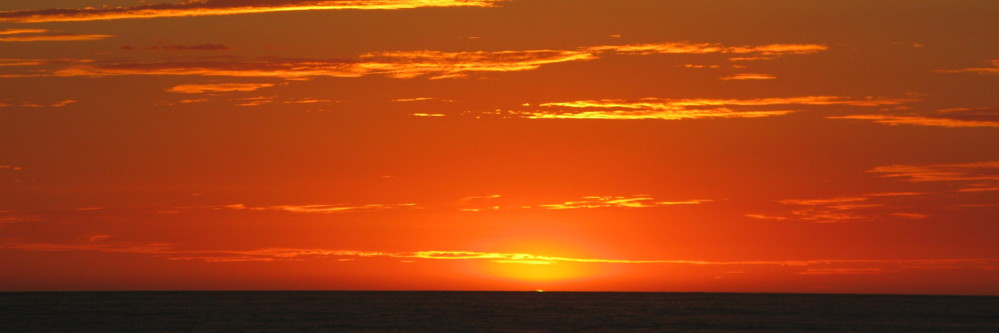 StevenNussbaum's profile banner image