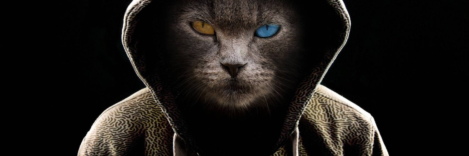 Liberty-Cat - Clowns 2 the left Jokers 2 the right banner