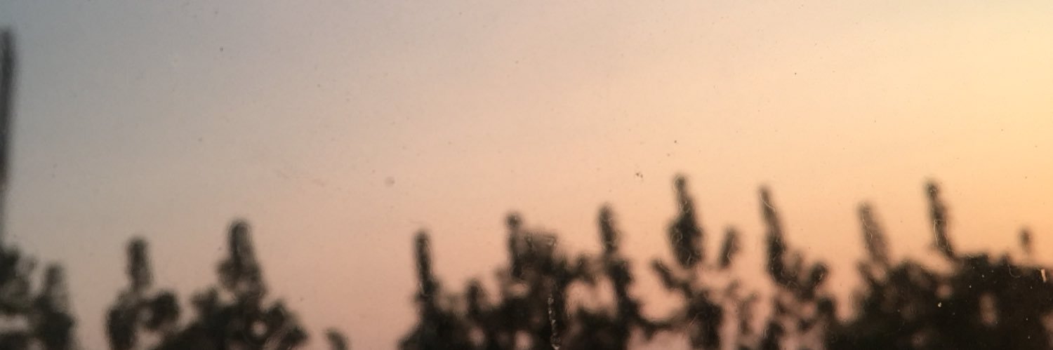 Indriambr's profile banner image