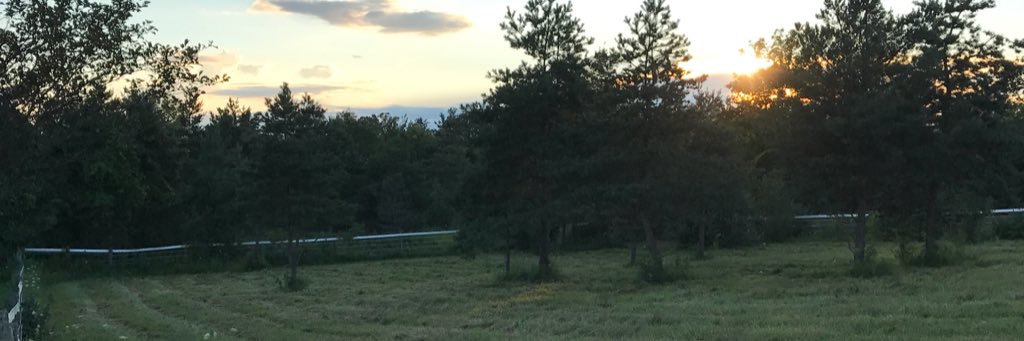stujolliffe's profile banner image