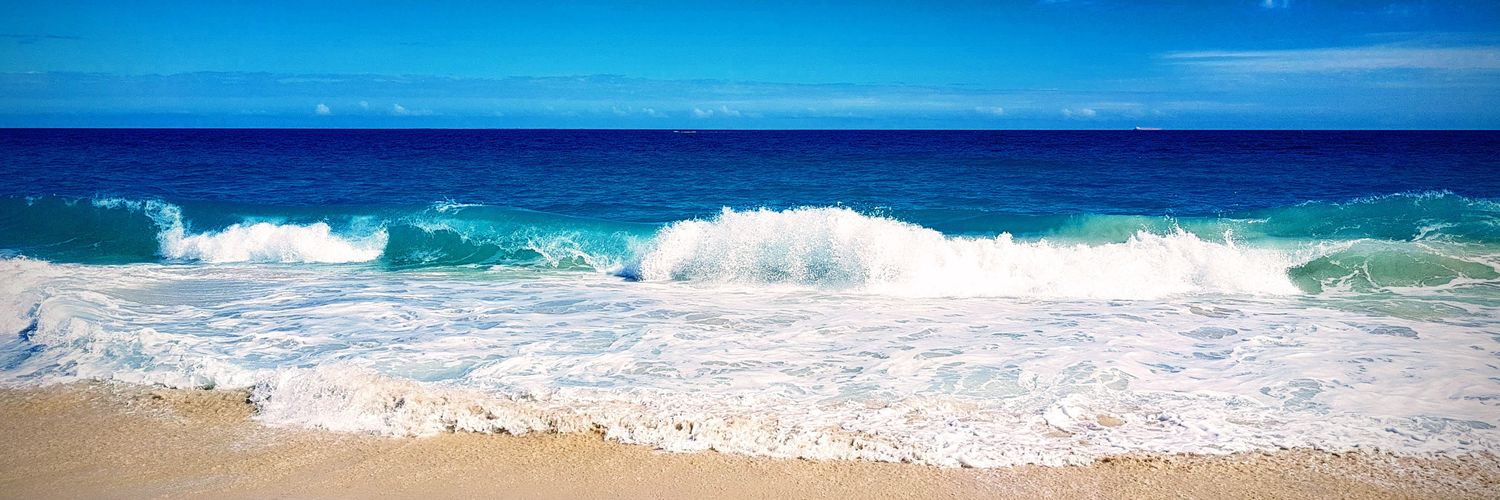 Michelle Pedlow banner