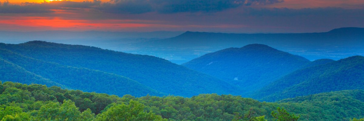 Taylor Zimmerman banner