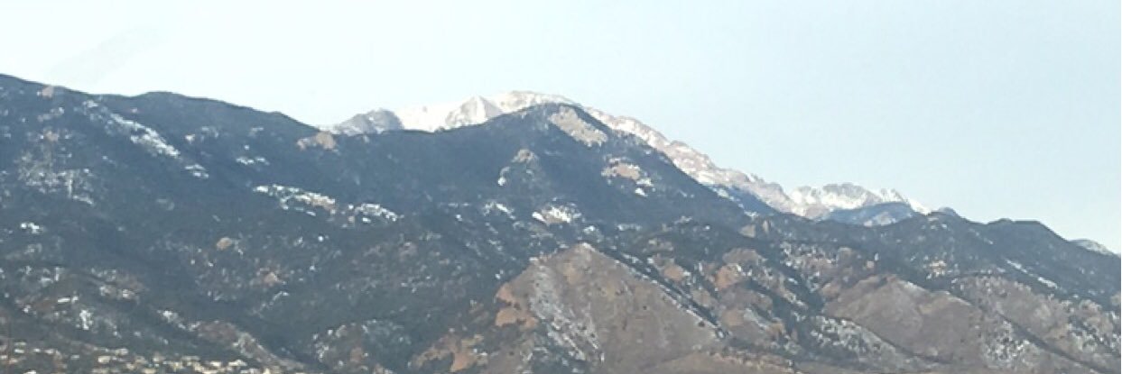 TreeJ710's profile banner image