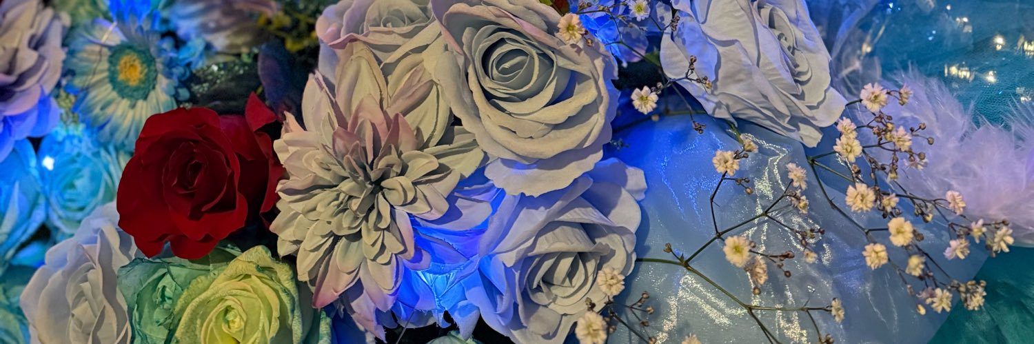 ♡𝔸𝕊𝔸𝕄𝕀♡ banner