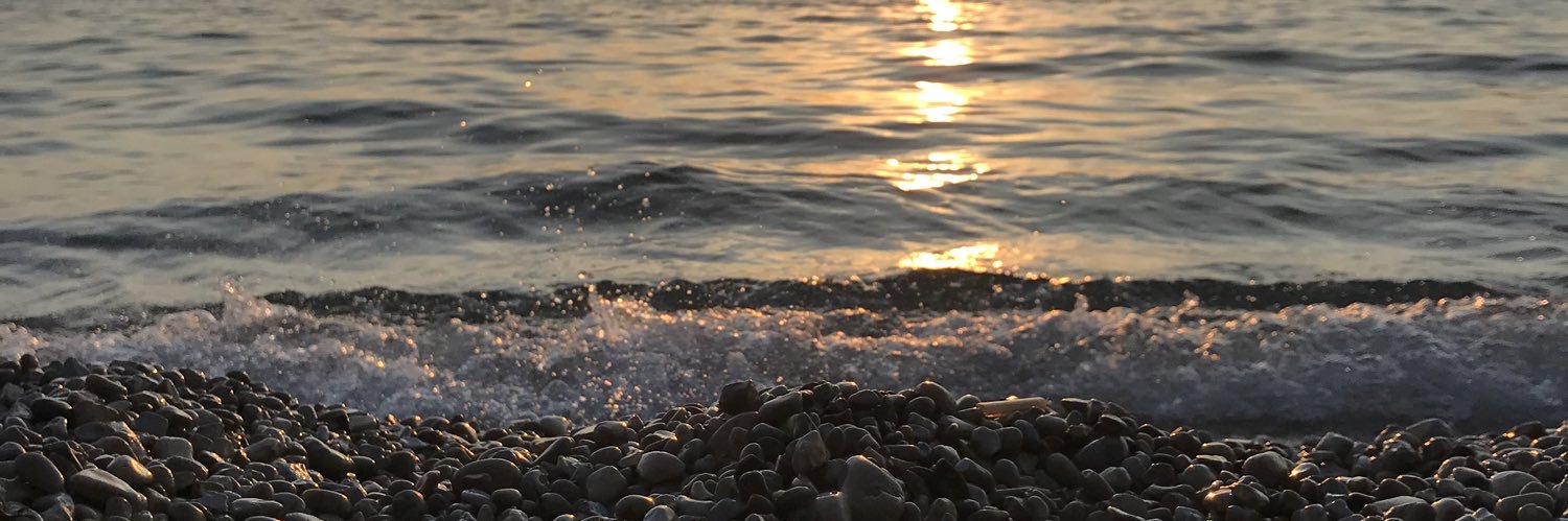 TaraDactyl94's profile banner image