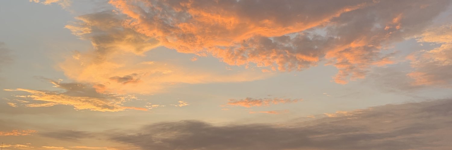 dnss_lpz's profile banner image