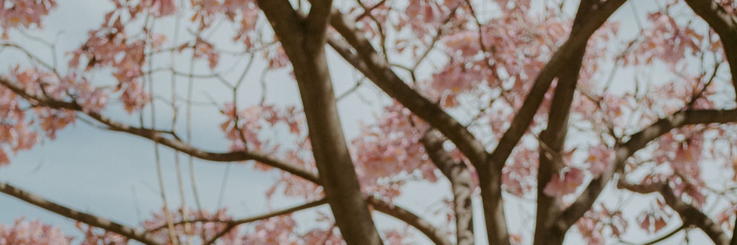 katherbee's profile banner image