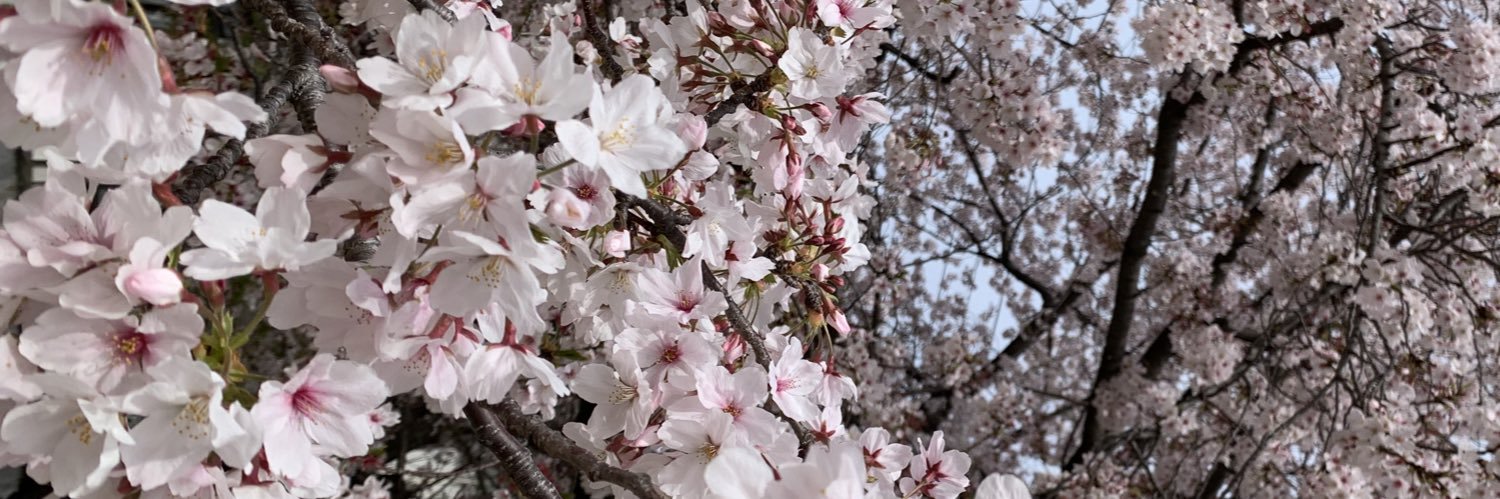 EmiEminko's profile banner image